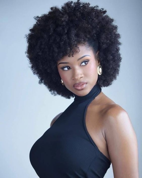 a well styled natural hair