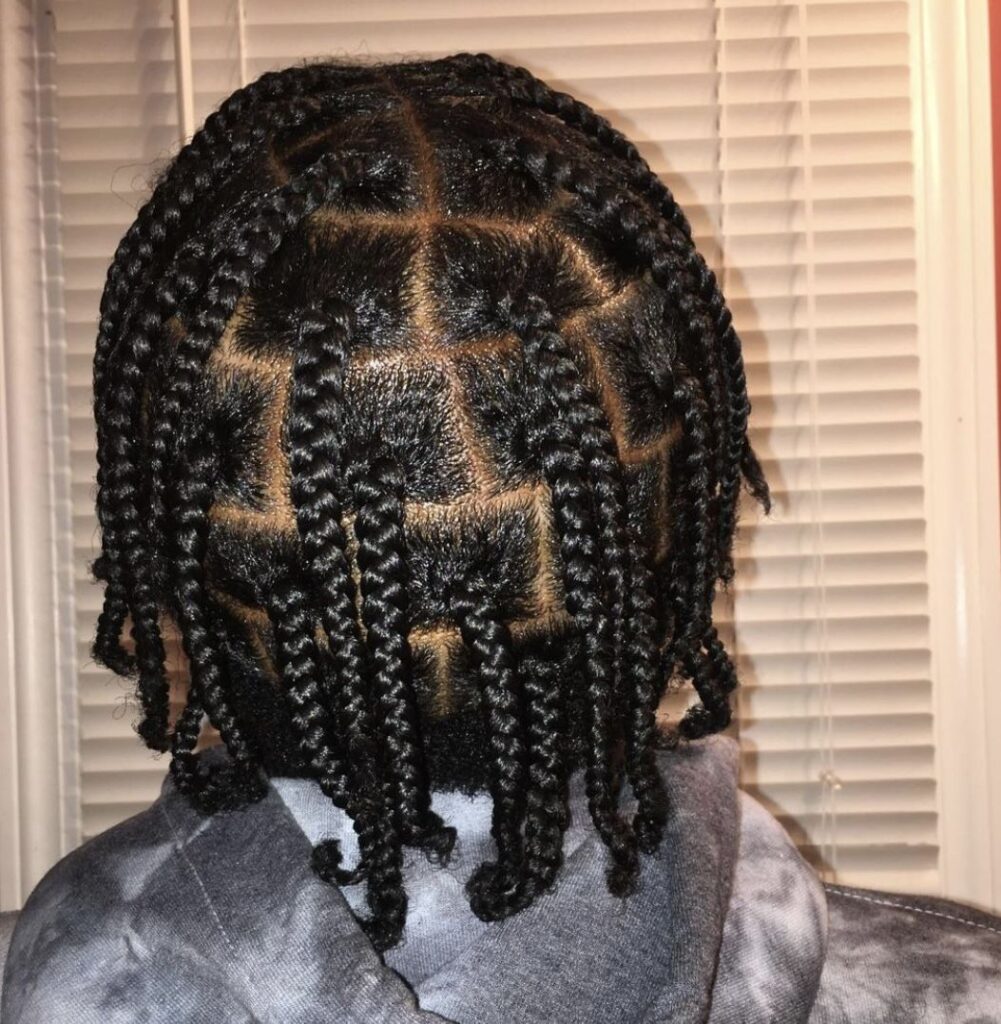picture of box braids protective style