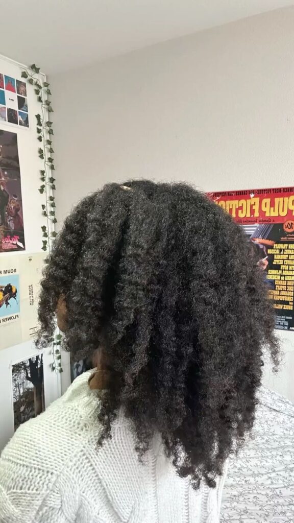picture of braids out