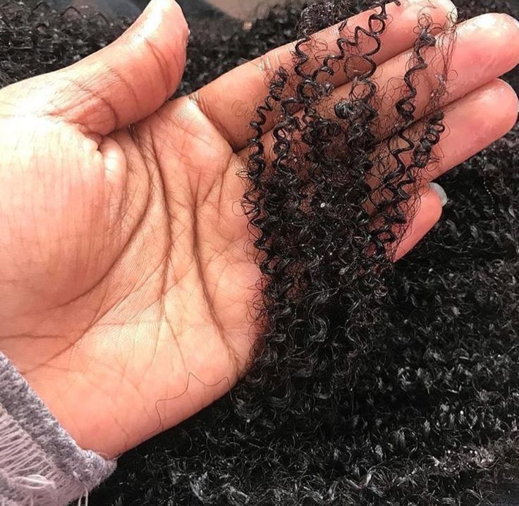 someone checking hair curl pattern