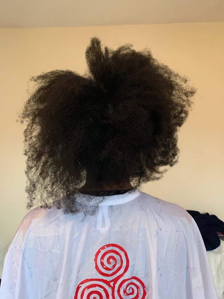 picture of unhealthy hair