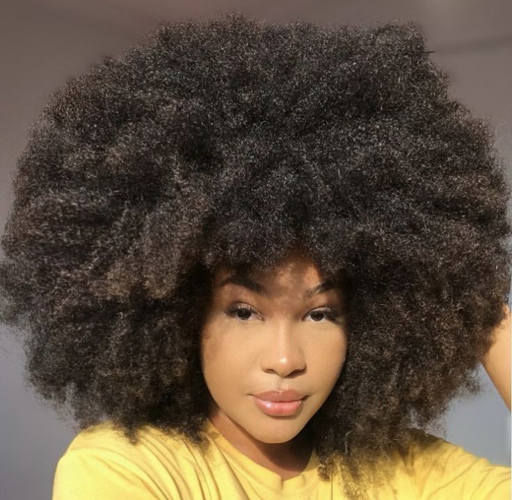 a girl with full afro hair with low porosity