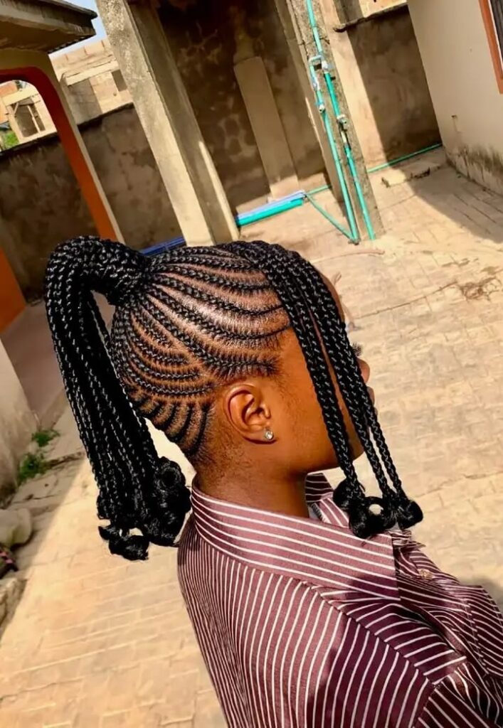 picture of pony tail braids