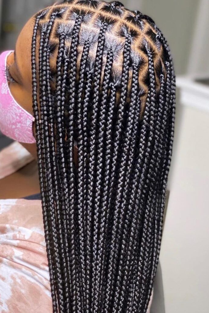 picture of a neat braids