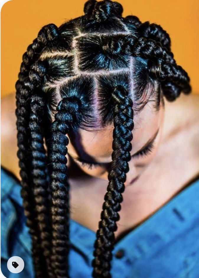 a picture of simple box braids with large sections