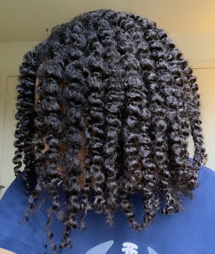 picture of a twist out hairstyle