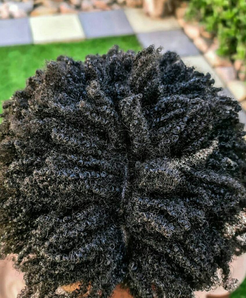 picture of a dry hair