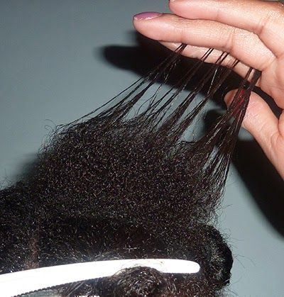 someone having tip hair breakage not shedding