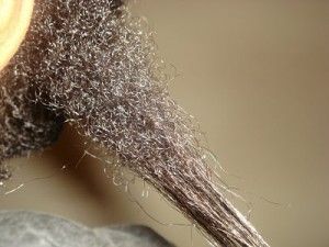 picture showing hair breakage not shedding