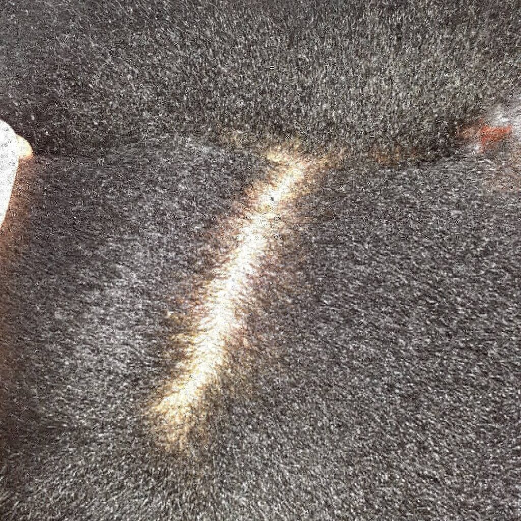 a dehydrated scalp