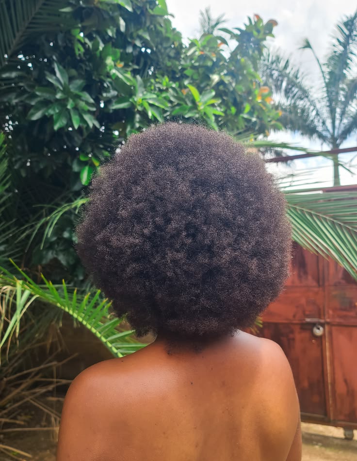 someone with afro hair