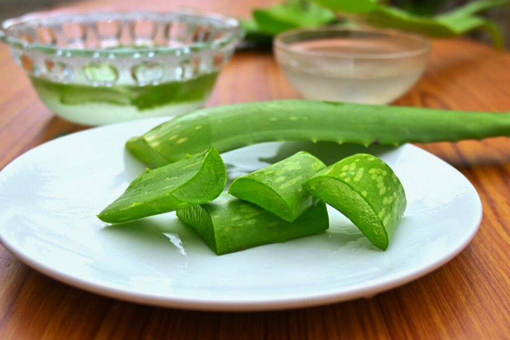 fresh aloe vera in a flat plate