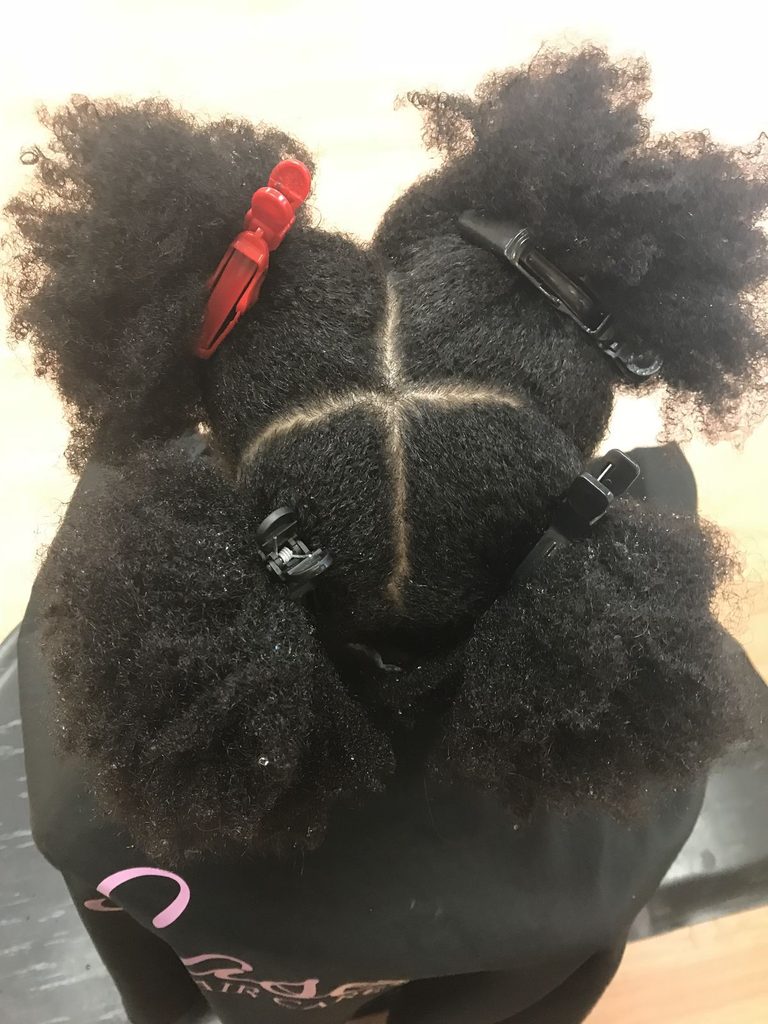 the 4 sectioned hair as part of wash day setups for natural hair