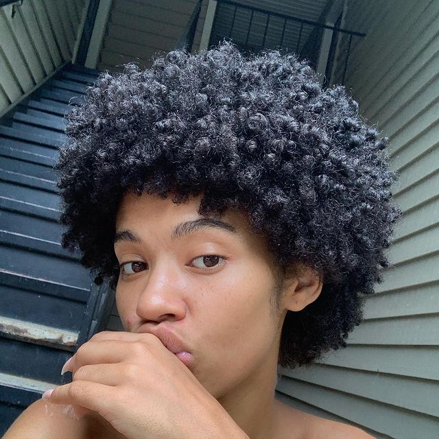 someone growing out a TWA into afro hair